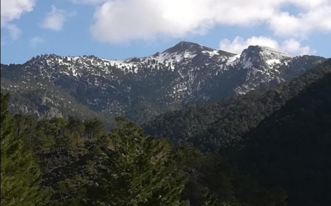 Casa Rural La Piedra Del Cambron Villaverde De Guadalimar Εξωτερικό φωτογραφία